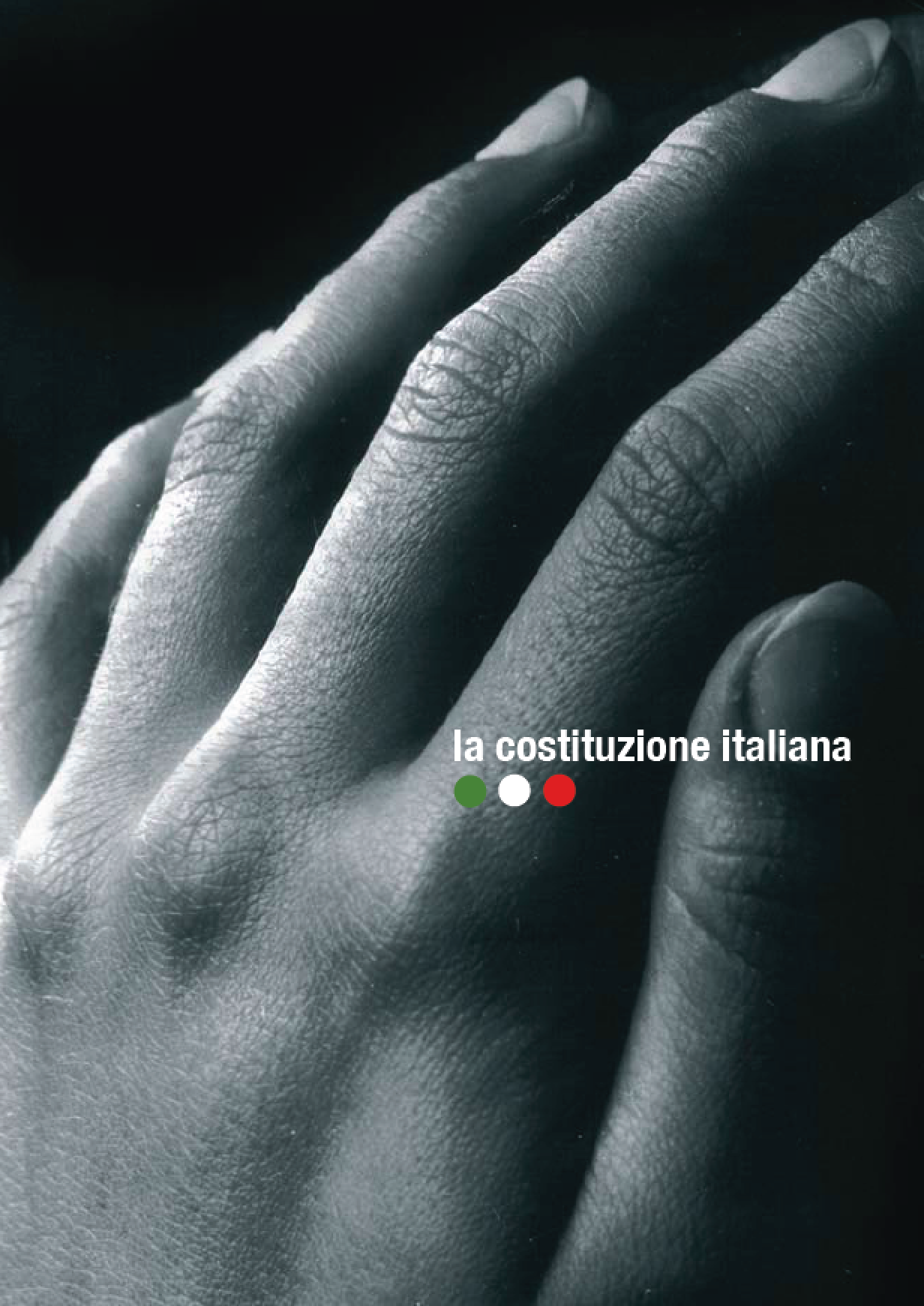 La Costituzione Italiana - 2008