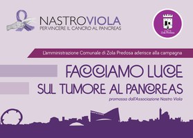 "Facciamo Luce sul Tumore al Pancreas" - 21 novembre