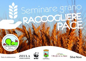 "Seminare grano, raccogliere pace": la coltivazione di grani antichi nel Parco Giardino Campagna